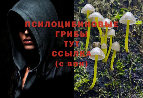 Альфа ПВП Заволжье