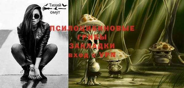 дурь Заволжск