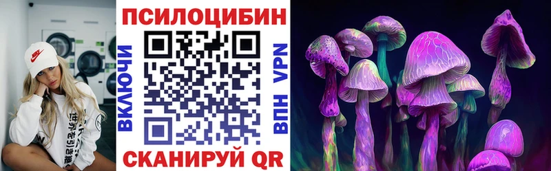 Псилоцибиновые грибы Cubensis  Купить  Жиздра 